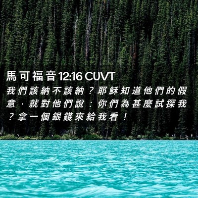 Picture 02 - 馬 可 福 音 12:16 CUVT - 我 們 該 納 不 該 納 ？ 耶 穌 知 道 - Bible Verse Picture