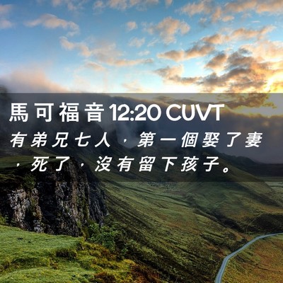 Picture 02 - 馬 可 福 音 12:20 CUVT - 有 弟 兄 七 人 ， 第 一 個 娶 了 妻 - Bible Verse Picture