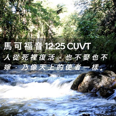 Picture 02 - 馬 可 福 音 12:25 CUVT - 人 從 死 裡 復 活 ， 也 不 娶 也 不 - Bible Verse Picture