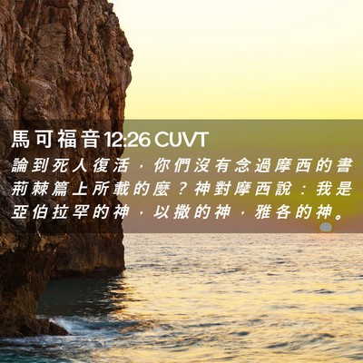 Picture 02 - 馬 可 福 音 12:26 CUVT - 論 到 死 人 復 活 ， 你 們 沒 有 念 - Bible Verse Picture