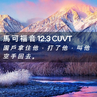 Picture 02 - 馬 可 福 音 12:3 CUVT - 園 戶 拿 住 他 ， 打 了 他 ， 叫 他 - Bible Verse Picture