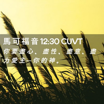 Picture 02 - 馬 可 福 音 12:30 CUVT - 你 要 盡 心 、 盡 性 、 盡 意 、 盡 - Bible Verse Picture