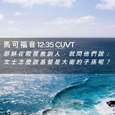 Picture 02 - 馬 可 福 音 12:35 CUVT - 耶 穌 在 殿 裡 教 訓 人 ， 就 問 他 - Bible Verse Picture
