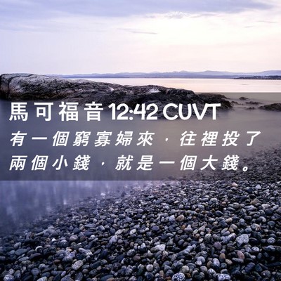 Picture 02 - 馬 可 福 音 12:42 CUVT - 有 一 個 窮 寡 婦 來 ， 往 裡 投 了 - Bible Verse Picture