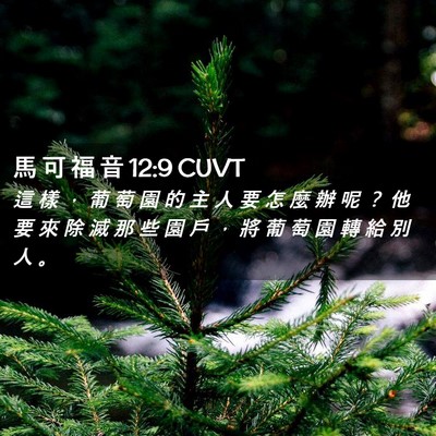 Picture 02 - 馬 可 福 音 12:9 CUVT - 這 樣 ， 葡 萄 園 的 主 人 要 怎 麼 - Bible Verse Picture