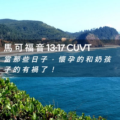 Picture 02 - 馬 可 福 音 13:17 CUVT - 當 那 些 日 子 ， 懷 孕 的 和 奶 孩 - Bible Verse Picture