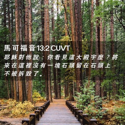 Picture 02 - 馬 可 福 音 13:2 CUVT - 耶 穌 對 他 說 ： 你 看 見 這 大 殿 - Bible Verse Picture