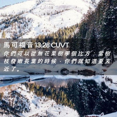 Picture 02 - 馬 可 福 音 13:28 CUVT - 你 們 可 以 從 無 花 果 樹 學 個 比 - Bible Verse Picture