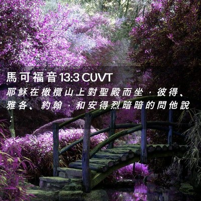 Picture 02 - 馬 可 福 音 13:3 CUVT - 耶 穌 在 橄 欖 山 上 對 聖 殿 而 坐 - Bible Verse Picture