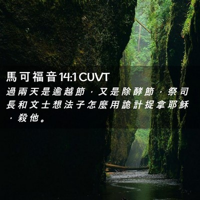 Picture 02 - 馬 可 福 音 14:1 CUVT - 過 兩 天 是 逾 越 節 ， 又 是 除 酵 - Bible Verse Picture