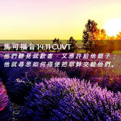 Picture 02 - 馬 可 福 音 14:11 CUVT - 他 們 聽 見 就 歡 喜 ， 又 應 許 給 - Bible Verse Picture
