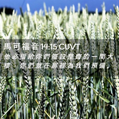 Picture 02 - 馬 可 福 音 14:15 CUVT - 他 必 指 給 你 們 擺 設 整 齊 的 一 - Bible Verse Picture