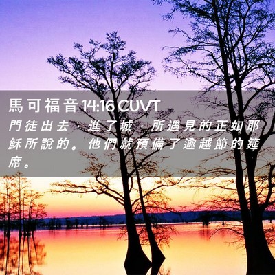 Picture 02 - 馬 可 福 音 14:16 CUVT - 門 徒 出 去 ， 進 了 城 ， 所 遇 見 - Bible Verse Picture