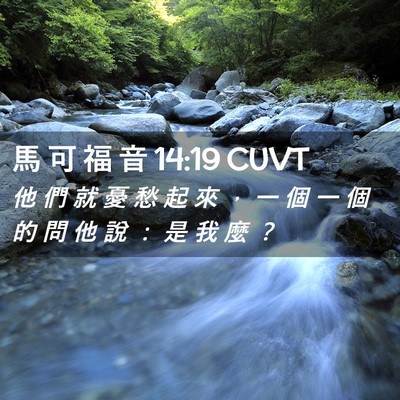 Picture 02 - 馬 可 福 音 14:19 CUVT - 他 們 就 憂 愁 起 來 ， 一 個 一 個 - Bible Verse Picture
