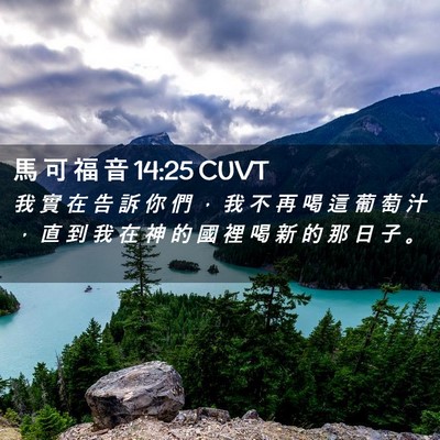 Picture 02 - 馬 可 福 音 14:25 CUVT - 我 實 在 告 訴 你 們 ， 我 不 再 喝 - Bible Verse Picture