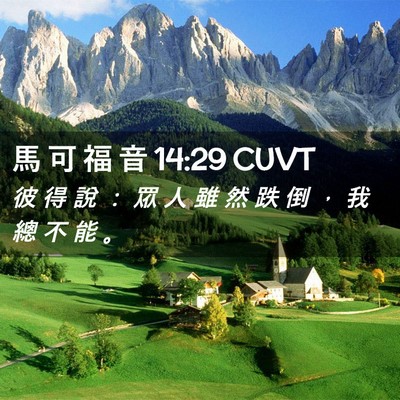 Picture 02 - 馬 可 福 音 14:29 CUVT - 彼 得 說 ： 眾 人 雖 然 跌 倒 ， 我 - Bible Verse Picture