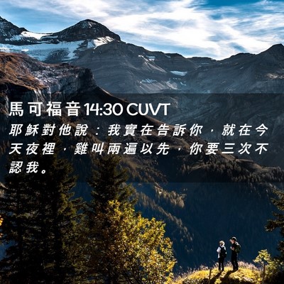 Picture 02 - 馬 可 福 音 14:30 CUVT - 耶 穌 對 他 說 ： 我 實 在 告 訴 你 - Bible Verse Picture