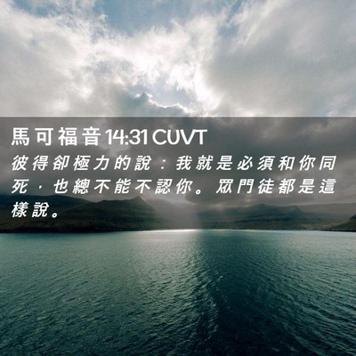 Picture 02 - 馬 可 福 音 14:31 CUVT - 彼 得 卻 極 力 的 說 ： 我 就 是 必 - Bible Verse Picture