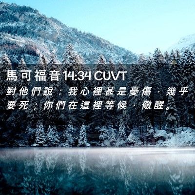 Picture 02 - 馬 可 福 音 14:34 CUVT - 對 他 們 說 ： 我 心 裡 甚 是 憂 傷 - Bible Verse Picture