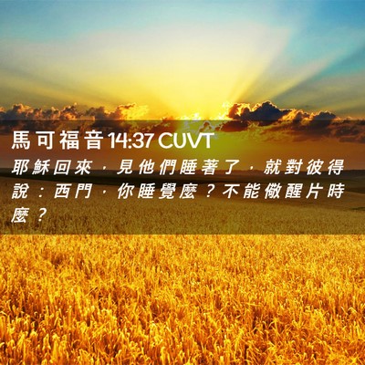 Picture 02 - 馬 可 福 音 14:37 CUVT - 耶 穌 回 來 ， 見 他 們 睡 著 了 ， - Bible Verse Picture