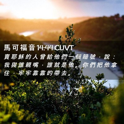 Picture 02 - 馬 可 福 音 14:44 CUVT - 賣 耶 穌 的 人 曾 給 他 們 一 個 暗 - Bible Verse Picture