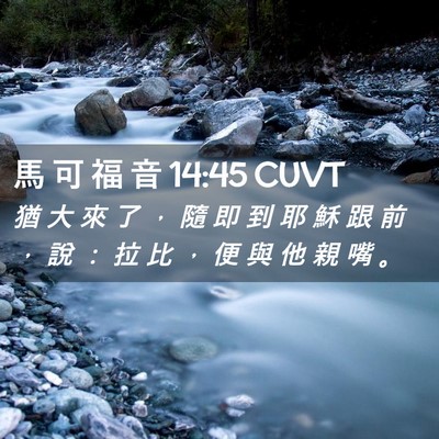 Picture 02 - 馬 可 福 音 14:45 CUVT - 猶 大 來 了 ， 隨 即 到 耶 穌 跟 前 - Bible Verse Picture