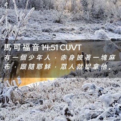 Picture 02 - 馬 可 福 音 14:51 CUVT - 有 一 個 少 年 人 ， 赤 身 披 著 一 - Bible Verse Picture