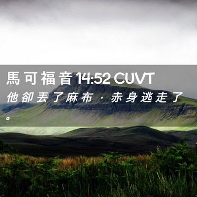 Picture 02 - 馬 可 福 音 14:52 CUVT - 他 卻 丟 了 麻 布 ， 赤 身 逃 走 了 - Bible Verse Picture