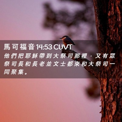 Picture 02 - 馬 可 福 音 14:53 CUVT - 他 們 把 耶 穌 帶 到 大 祭 司 那 裡 - Bible Verse Picture