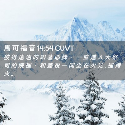 Picture 02 - 馬 可 福 音 14:54 CUVT - 彼 得 遠 遠 的 跟 著 耶 穌 ， 一 直 - Bible Verse Picture