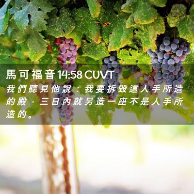 Picture 02 - 馬 可 福 音 14:58 CUVT - 我 們 聽 見 他 說 ： 我 要 拆 毀 這 - Bible Verse Picture