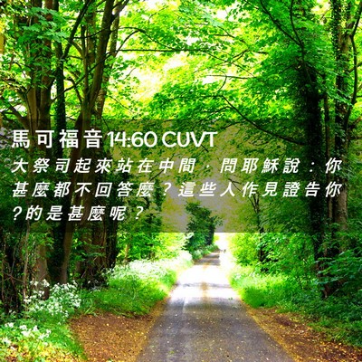 Picture 02 - 馬 可 福 音 14:60 CUVT - 大 祭 司 起 來 站 在 中 間 ， 問 耶 - Bible Verse Picture