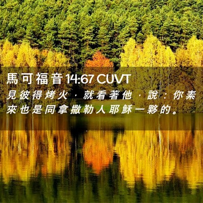 Picture 02 - 馬 可 福 音 14:67 CUVT - 見 彼 得 烤 火 ， 就 看 著 他 ， 說 - Bible Verse Picture