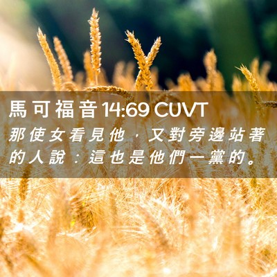 Picture 02 - 馬 可 福 音 14:69 CUVT - 那 使 女 看 見 他 ， 又 對 旁 邊 站 - Bible Verse Picture