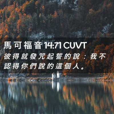 Picture 02 - 馬 可 福 音 14:71 CUVT - 彼 得 就 發 咒 起 誓 的 說 ： 我 不 - Bible Verse Picture