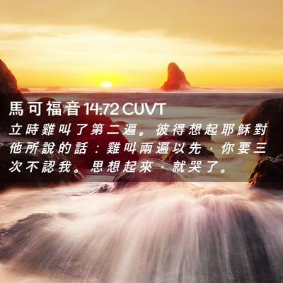 Picture 02 - 馬 可 福 音 14:72 CUVT - 立 時 雞 叫 了 第 二 遍 。 彼 得 想 - Bible Verse Picture