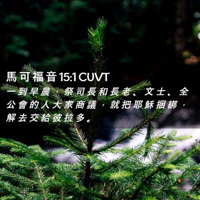 Picture 02 - 馬 可 福 音 15:1 CUVT - 一 到 早 晨 ， 祭 司 長 和 長 老 、 - Bible Verse Picture