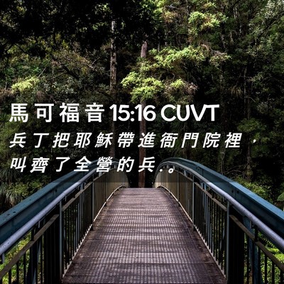 Picture 02 - 馬 可 福 音 15:16 CUVT - 兵 丁 把 耶 穌 帶 進 衙 門 院 裡 ， - Bible Verse Picture