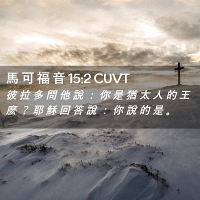 Picture 02 - 馬 可 福 音 15:2 CUVT - 彼 拉 多 問 他 說 ： 你 是 猶 太 人 - Bible Verse Picture