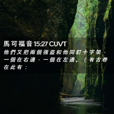 Picture 02 - 馬 可 福 音 15:27 CUVT - 他 們 又 把 兩 個 強 盜 和 他 同 釘 - Bible Verse Picture