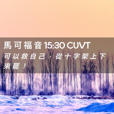 Picture 02 - 馬 可 福 音 15:30 CUVT - 可 以 救 自 己 ， 從 十 字 架 上 下 - Bible Verse Picture