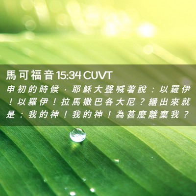Picture 02 - 馬 可 福 音 15:34 CUVT - 申 初 的 時 候 ， 耶 穌 大 聲 喊 著 - Bible Verse Picture