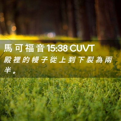 Picture 02 - 馬 可 福 音 15:38 CUVT - 殿 裡 的 幔 子 從 上 到 下 裂 為 兩 - Bible Verse Picture