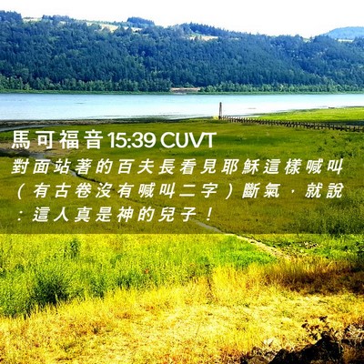 Picture 02 - 馬 可 福 音 15:39 CUVT - 對 面 站 著 的 百 夫 長 看 見 耶 穌 - Bible Verse Picture