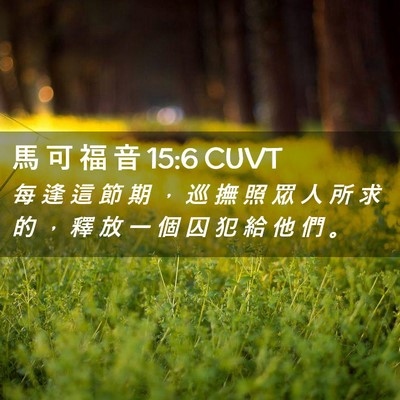 Picture 02 - 馬 可 福 音 15:6 CUVT - 每 逢 這 節 期 ， 巡 撫 照 眾 人 所 - Bible Verse Picture