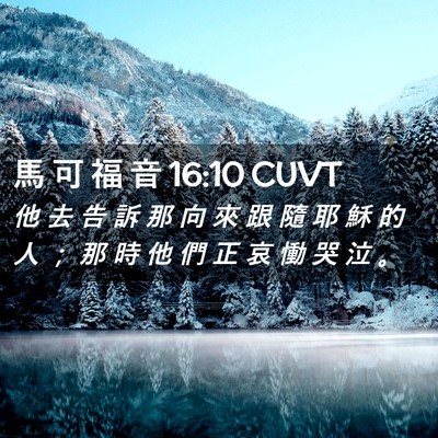 Picture 02 - 馬 可 福 音 16:10 CUVT - 他 去 告 訴 那 向 來 跟 隨 耶 穌 的 - Bible Verse Picture