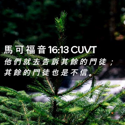 Picture 02 - 馬 可 福 音 16:13 CUVT - 他 們 就 去 告 訴 其 餘 的 門 徒 ； - Bible Verse Picture