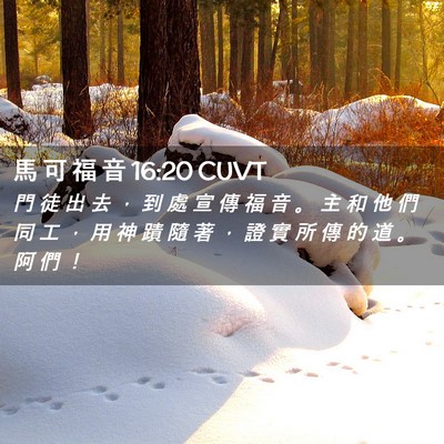 Picture 02 - 馬 可 福 音 16:20 CUVT - 門 徒 出 去 ， 到 處 宣 傳 福 音 。 - Bible Verse Picture