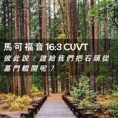 Picture 02 - 馬 可 福 音 16:3 CUVT - 彼 此 說 ： 誰 給 我 們 把 石 頭 從 - Bible Verse Picture