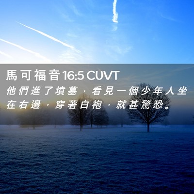 Picture 02 - 馬 可 福 音 16:5 CUVT - 他 們 進 了 墳 墓 ， 看 見 一 個 少 - Bible Verse Picture